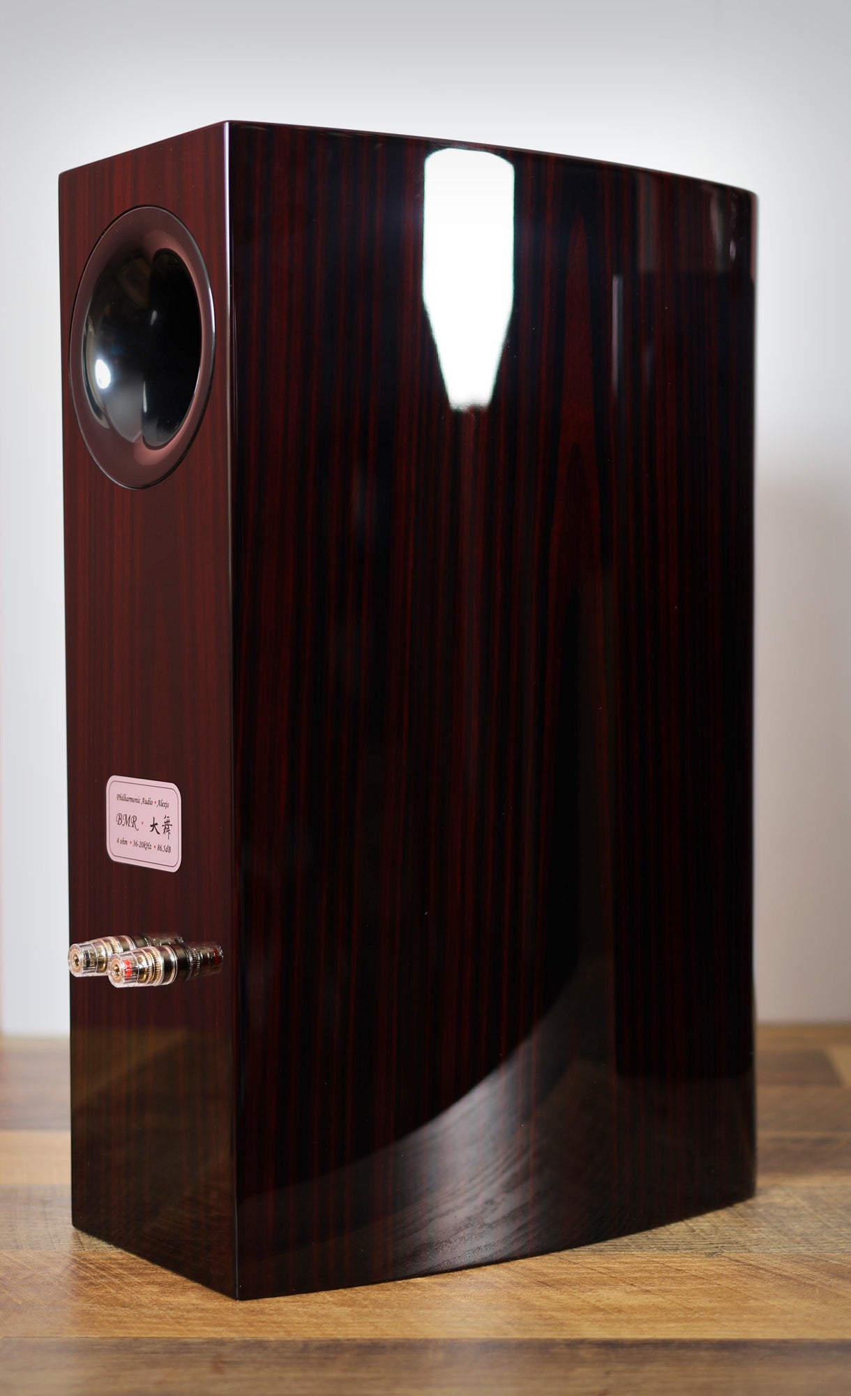 The BMR Monitor (Price EACH)