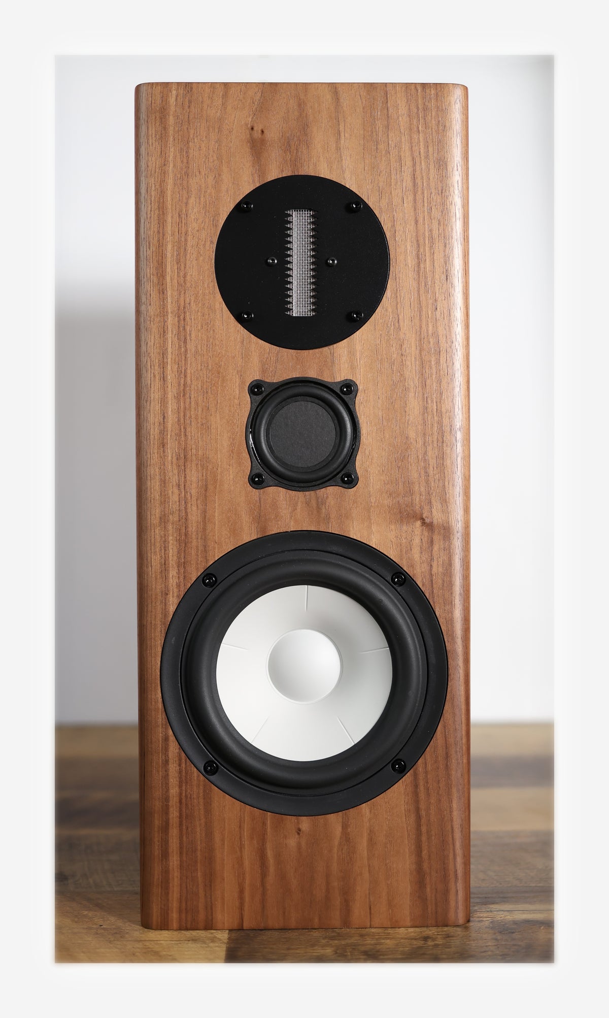 Balanced Mode Radiator The BMR Monitor Pair